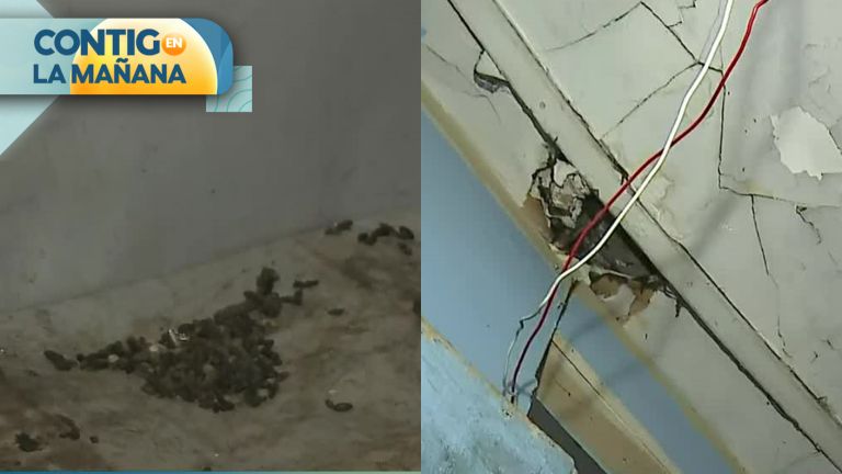 Hasta fecas de ratones: Las condiciones en que vivían en desalojado cité de Santiago