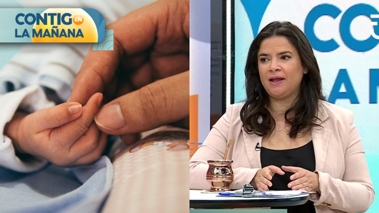 Ministra Orellana explicó cómo funcionará la retención de impuestos para deudores de pensión