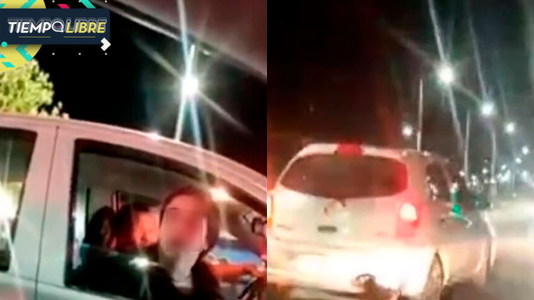 ¡Indignante! Mujer fue grabada abandonando perros y se hizo viral por insólita respuesta