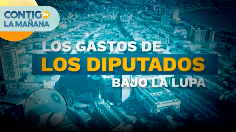 Bajo la lupa: En esto utilizan los diputados el dinero de los gastos operacionales
