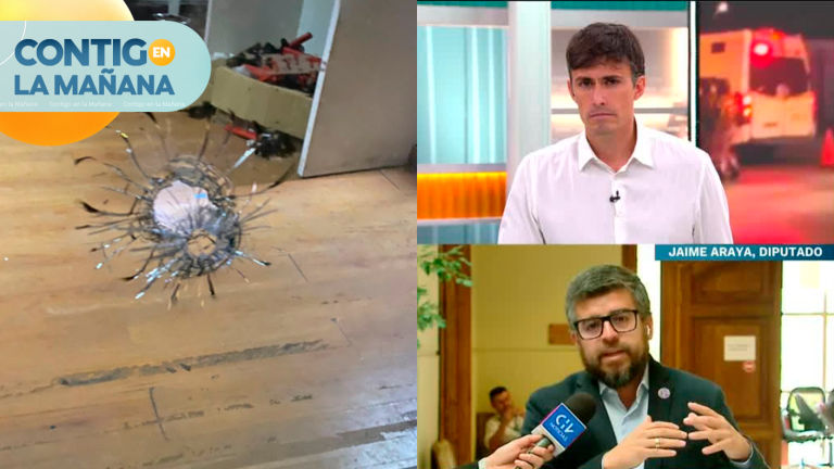 Diputado Araya: “Hay una izquierda ingenua que cree que la delincuencia es un subproducto de la desigualdad social”