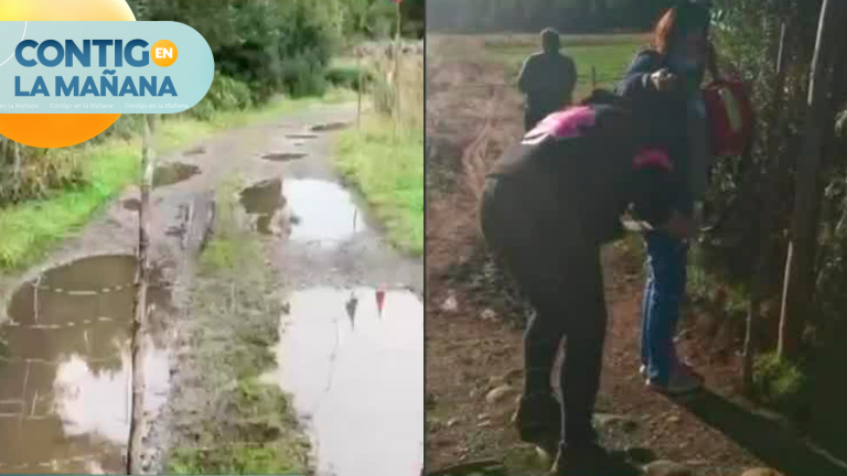 10 familias están encerradas tras cierre de portón en Calbuco: Camino se ha usado por más de 30 años