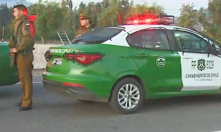 Se estrellaron con palmera: 2 personas murieron en accidente de tránsito en Puente Alto