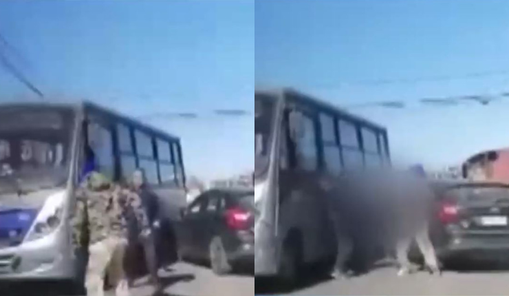 Captan feroz pelea entre conductor de auto y micrero en San Pedro de la Paz: Uno de ellos estaba ebrio