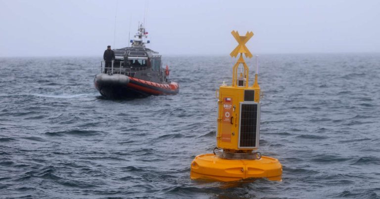 Era única en Latinoamérica: Destruyeron boya inteligente que advertía la presencia de ballenas frente a Chiloé