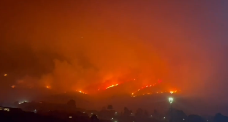 Más de 380 hectáreas consumidas por el fuego: Se mantiene Alerta Roja por incendios en Zapallar y Papudo