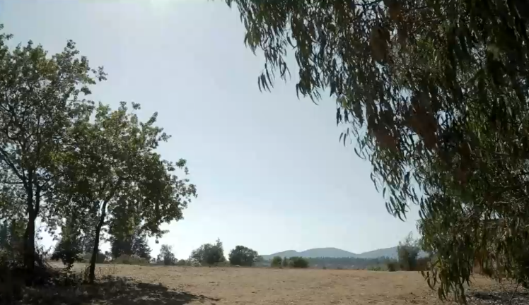 La casa propia o defender último rincón de naturaleza viva: Mega proyecto divide a comunidad de Puchuncaví