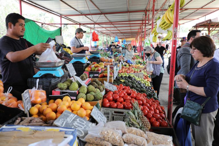 Dos meses consecutivos de bajas: Estos son los alimentos de la canasta básica que disminuyeron sus precios
