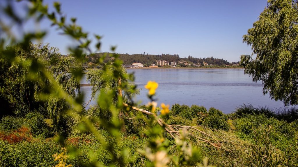 Chile se convirtió en el primer país de Latinoamérica en alcanzar el sobregiro ecológico 2023