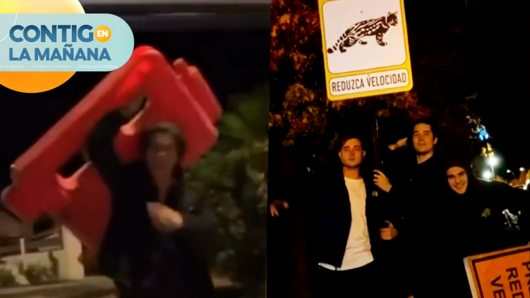 Tour de daños en Lo Barnechea: Sujetos se grabaron destruyendo señaléticas del tránsito