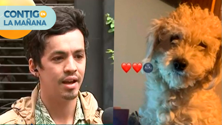 “Queremos que cierren esa academia”: El descargo del dueño de perrita que murió tras caer del piso 11