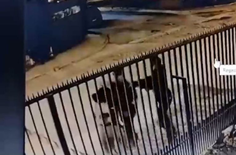 Le robaron todo: Mujer sufrió violento abordazo por sujetos que la tiraron al piso en calle de Maipú