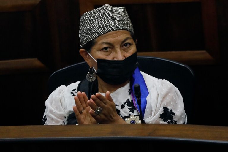 Elisa Loncón se descargó por solicitud de datos académicos: 