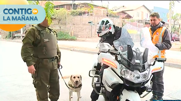 Fiscalización en Pudahuel terminó con un detenido por falsificación de documentos