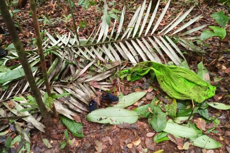 De un par de zapatos a pañal usado: Los hallazgos que mantienen la esperanza en caso de niños desaparecidos