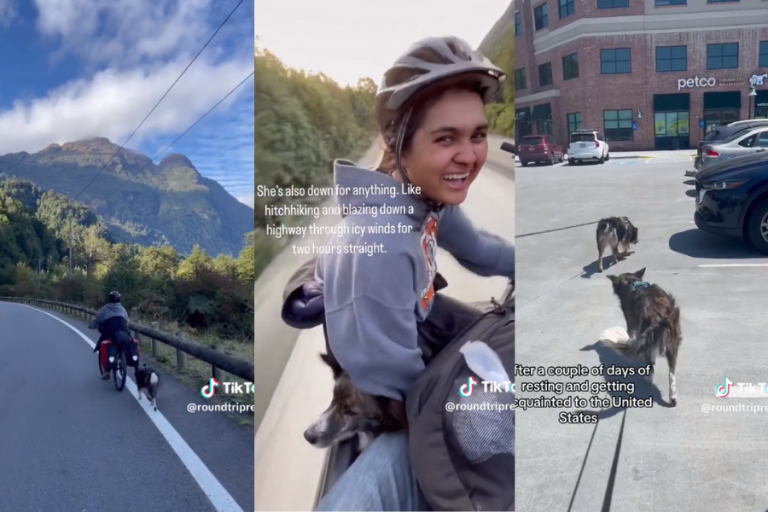 Viviendo el sueño americano: Mochilera conoció a perrita callejera en el sur de Chile, la adoptó y ahora vive en EE.UU.