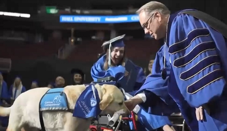 Compañero fiel: Perro guía recibe especial diploma en ceremonia de graduación universitaria