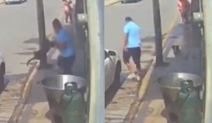 Brutal caso de maltrato animal en México: Sujeto asesinó a perro tras lanzarlo a olla con aceite hirviendo