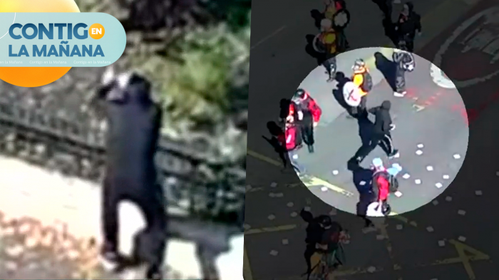 Sujeto que apuntó arma de fuego a Carabineros durante marcha del Día del Trabajador fue detenido