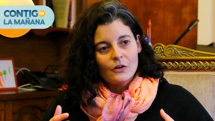 “Es un delito extremadamente grave”: Delegada Dresdner sobre departamentos tomados en San Pedro de la Paz