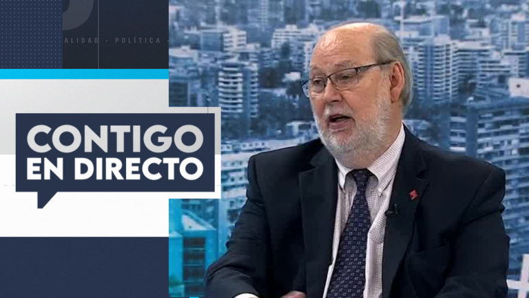 Presidente del Servel anunció denuncia contra candidata del PDG por faltar a la verdad