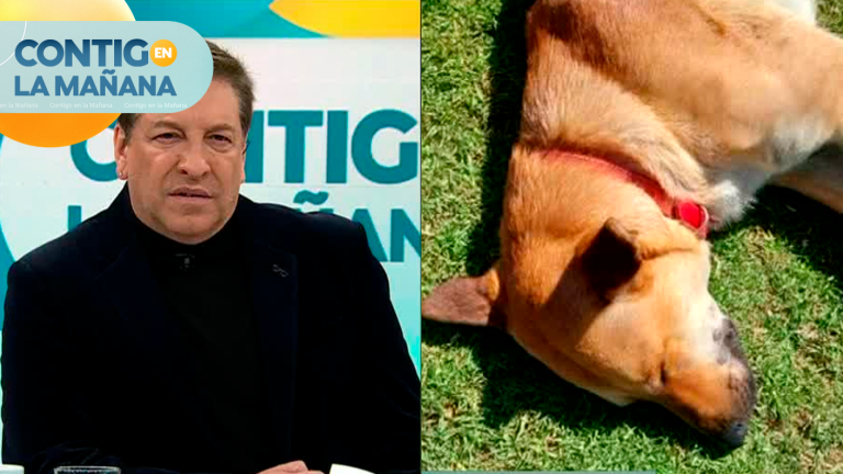 “Queremos saber los nombres”: Habla vocera de alumnos de la universidad donde se practicó eutanasia a canes