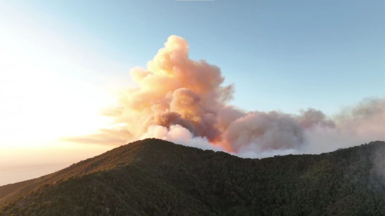 Zapallar y Papudo en Alerta Roja por incendio forestal que habría sido causado por tendido eléctrico