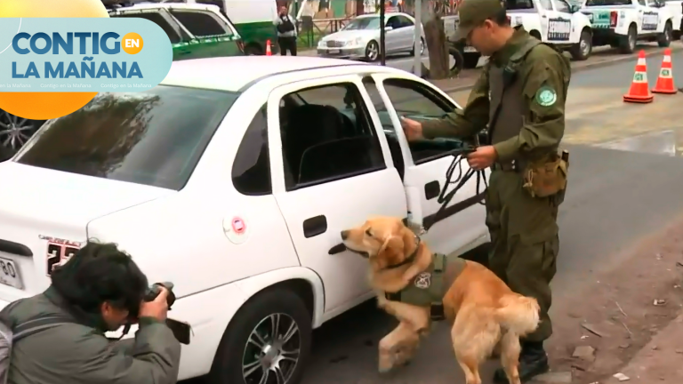 Nueva jornada de fiscalizaciones de vehículos irregulares en Lo Prado, Pudahuel y Cerro Navia