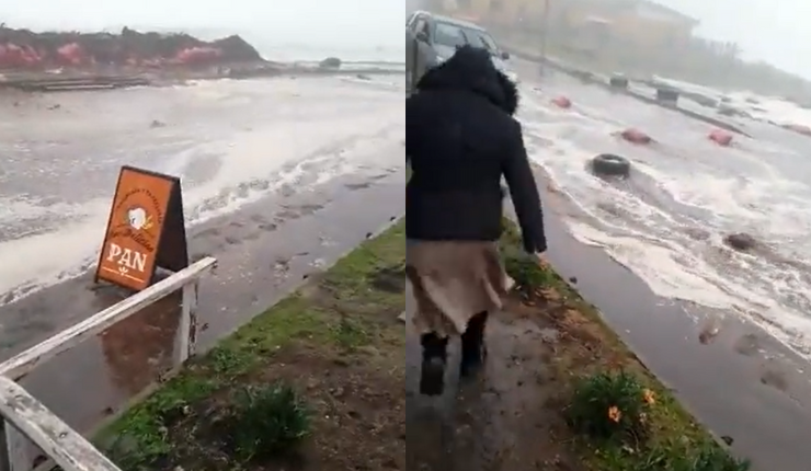 Declaran Alerta Roja en Coelemu por masivas inundaciones: Videos muestran serios daños a propiedades