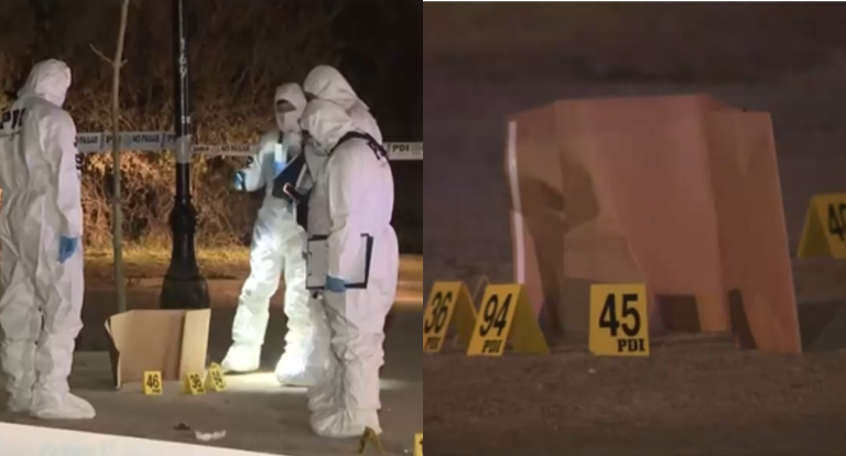 Funcionario PDI fue apuñalado en operativo por delitos sexuales en Parque Los Reyes