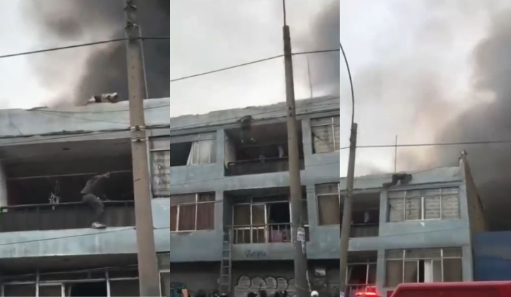 Hombre trepó edificio que se estaba incendiando para salvar a 25 perritos en Perú