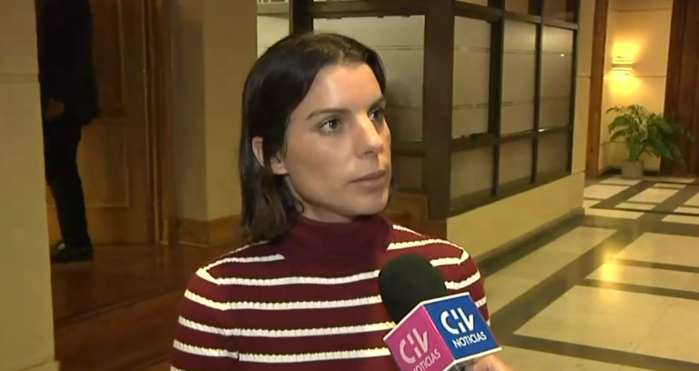 Diputada Orsini tras reproche ético de Fiscalía por caso 