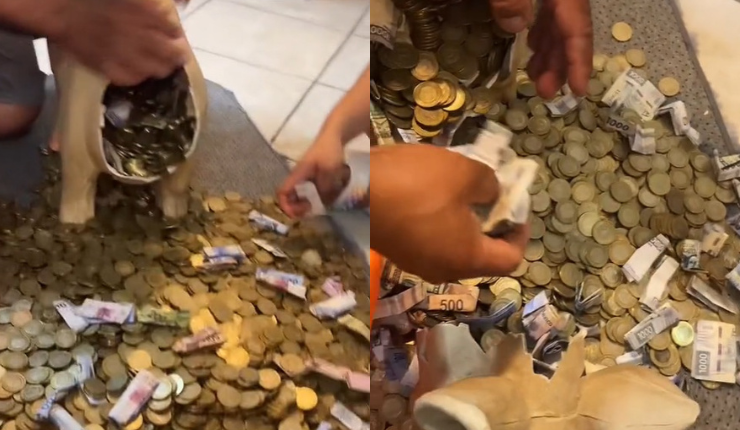 Rompió el chanchito: Carnicero ahorró propina de sus clientes y juntó una verdadera fortuna en monedas