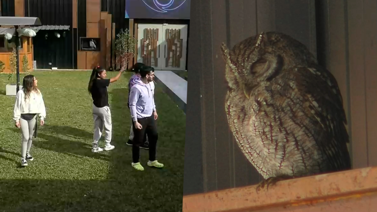 Una visita inesperada llegó a Gran Hermano: Participantes la quieren adoptar