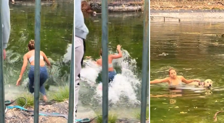 Soltó a su perro, arrancó a laguna en Las Condes y se lanzó al agua para rescatarlo: 