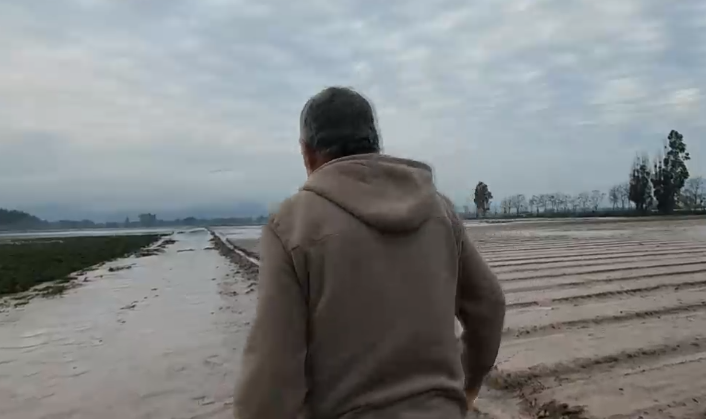 Productores de frutas y verduras perdieron sus cultivos: El impacto al bolsillo que dejará el sistema frontal