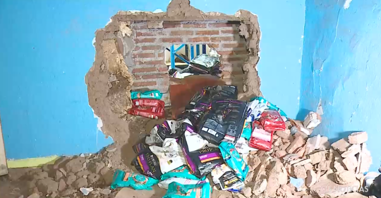 Sujetos hicieron forado para robar más de $80 millones desde una tienda de mascotas en Santiago Centro