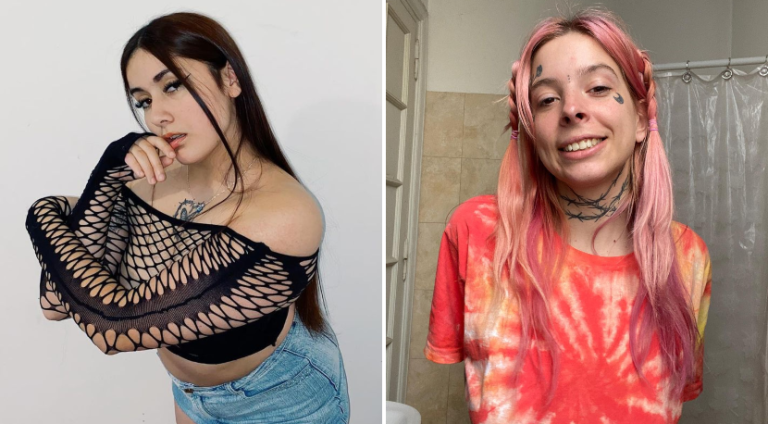 Artista chilena funó por supuesto 