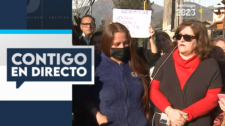 Vecinos de Puente Alto denuncian ola de portonazos: Exigen presencia de un retén