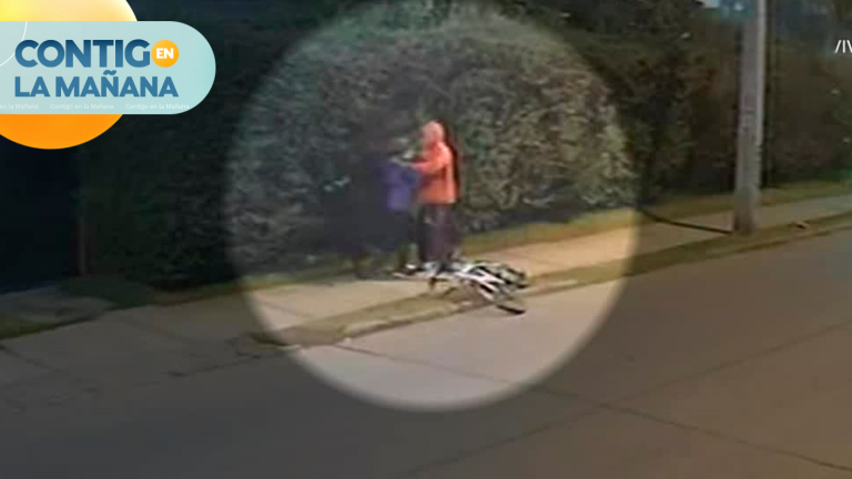 Sujeto adiestró a su perro para asaltar: Registro muestra insólito modus operandi