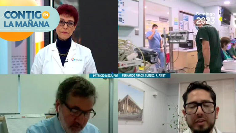 ¿Cómo se asignan las camas críticas en situaciones de crisis sanitaria?