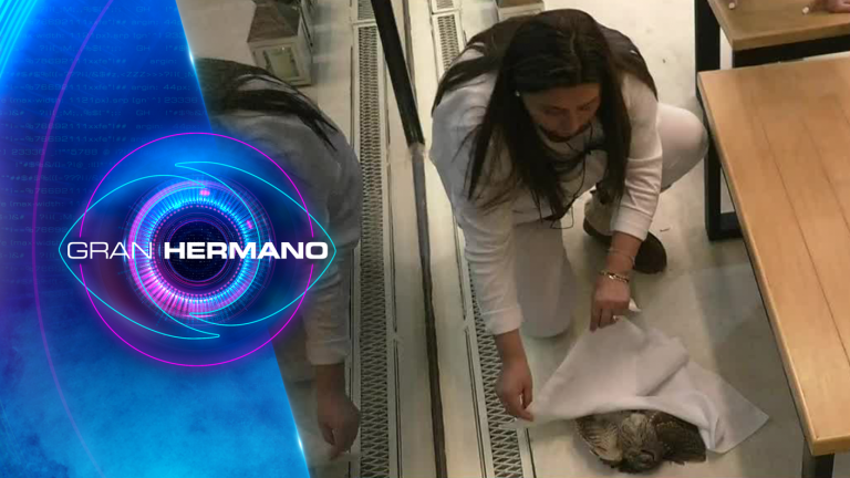 ¿Tiene poderes esotéricos? Así fue como Jennifer revivió al búho de Gran Hermano