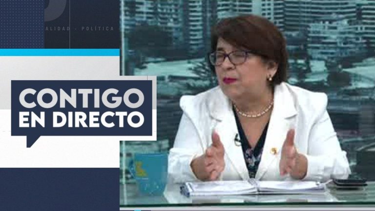 Exseremi de Salud, Rosa Oyarce, explica las implicancias a la salud que puede tener la exposición al barro en sectores afectados