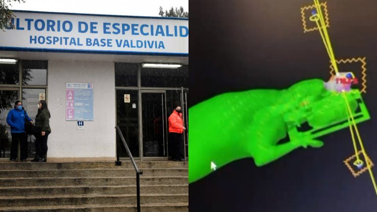 Hospital de Valdivia en la polémica: Abren sumario por atención de un perro para tratamiento contra el cáncer