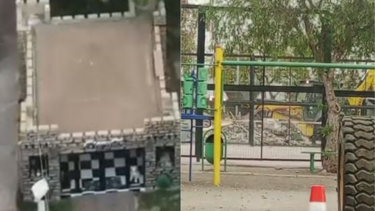 Insólito hallazgo en 