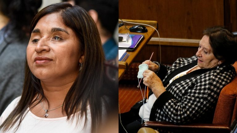 Acogen desafuero contra diputada Cordero por dichos sobre senadora Campillai: ¿Qué significa?