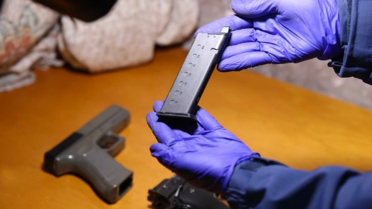 PDI capturó a peligrosa banda 