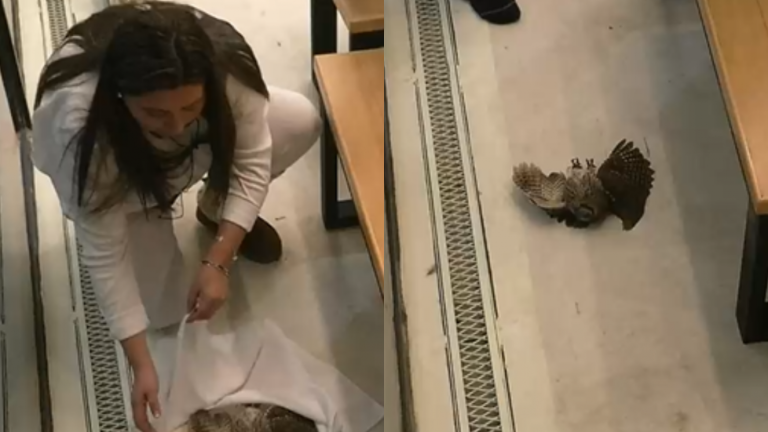 ¿Brujería? El curioso ritual con el que Jennifer 