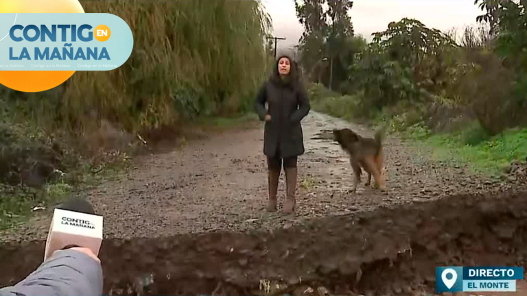 Familias de El Monte se encuentran aisladas tras intensas lluvias en la RM