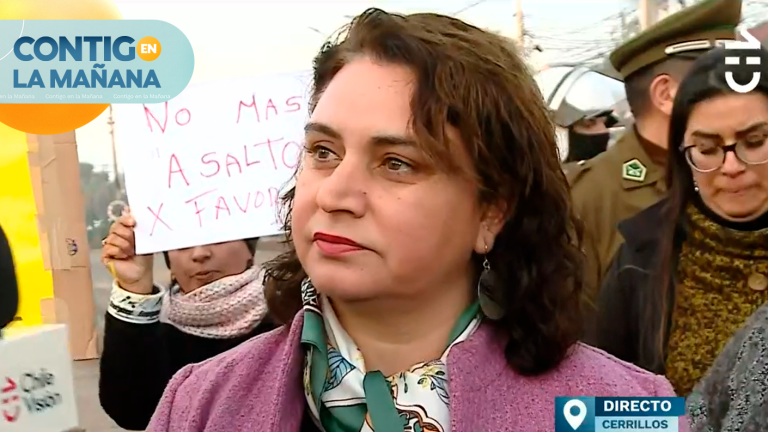 Alcaldesa de Cerrillos responde a vecinos: “Los dueños de terrenos se tienen que hacer cargo”